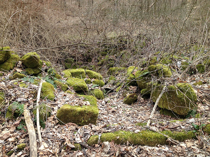 Moss covered blocks are all that remains of a foundation of an old home along the trails of this cabin rental.